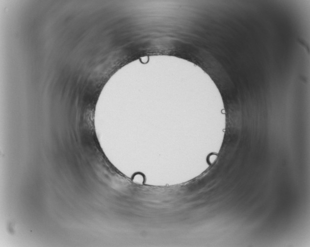 X0000103900045200810171624