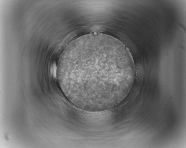 X0000103900046200810171624