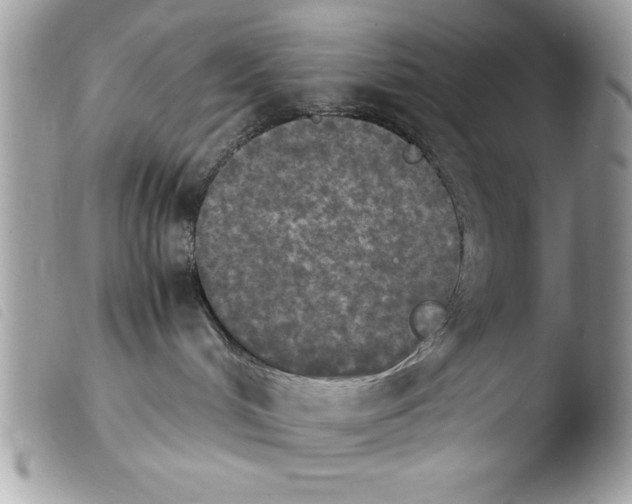 X0000103900048200810171624