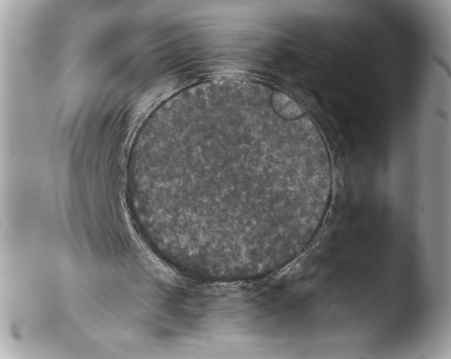 X0000103900049200810171624