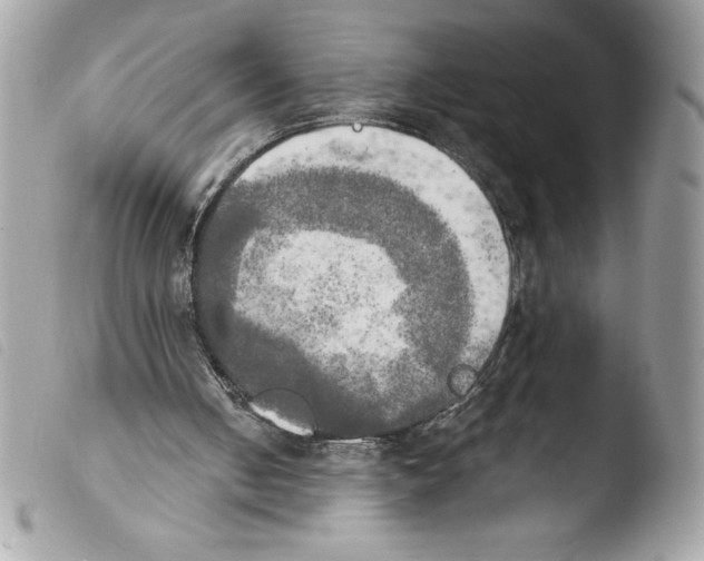 X0000103900050200810171624