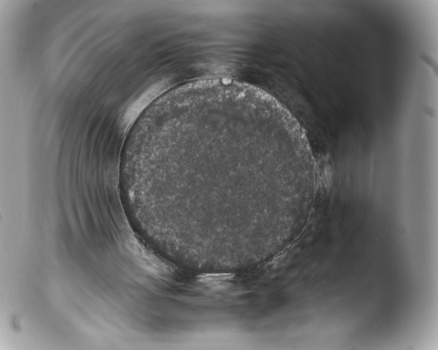 X0000103900051200810171624