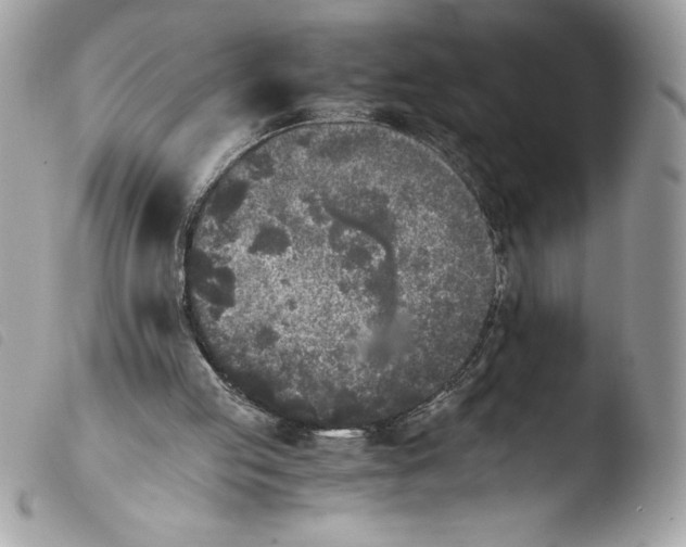 X0000103900053200810171624