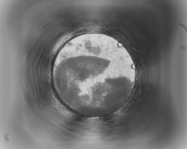 X0000103900054200810171624