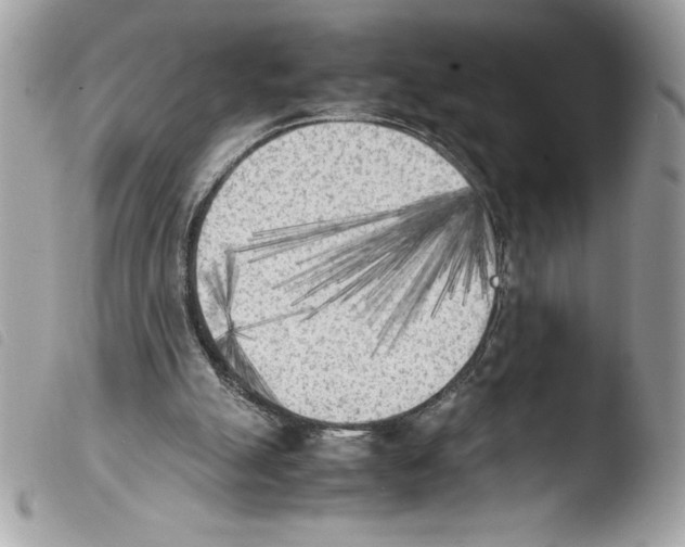 X0000103900055200810171624