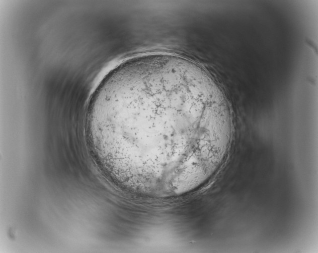 X0000103900056200810171624