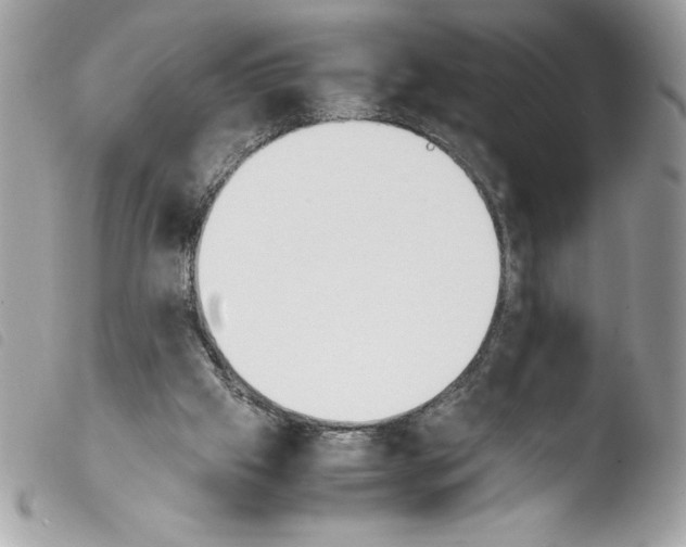 X0000103900057200810171624