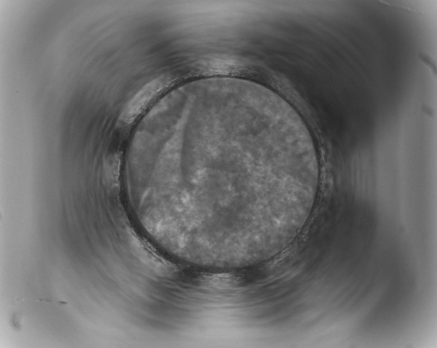 X0000103900058200810171624