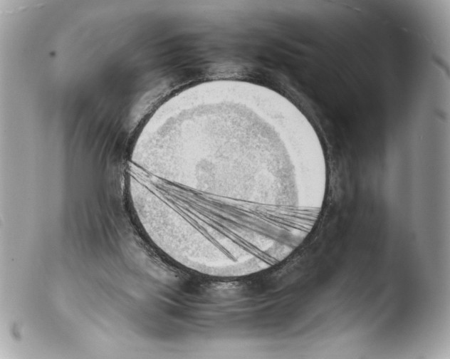 X0000103900059200810171624