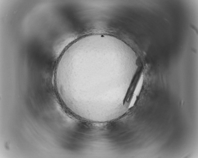 X0000103900060200810171624