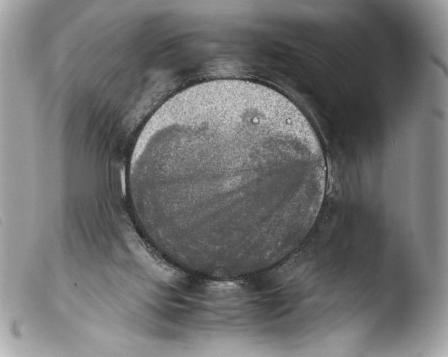 X0000103900061200810171624