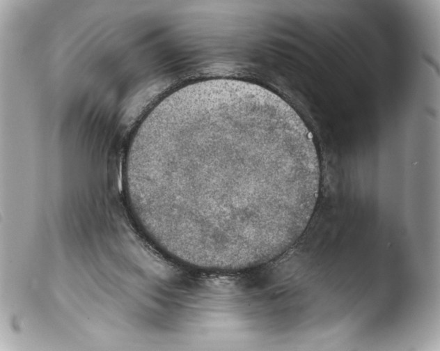 X0000103900062200810171624