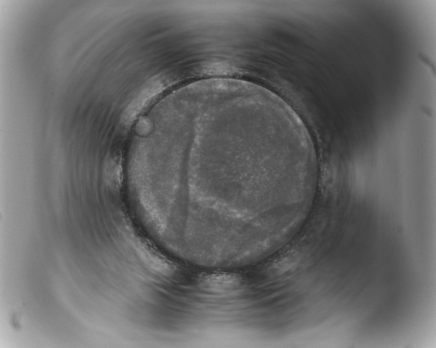 X0000103900063200810171624