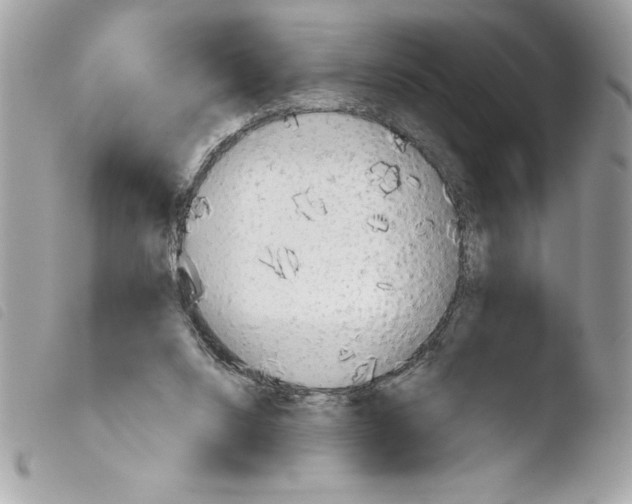 X0000103900064200810171624