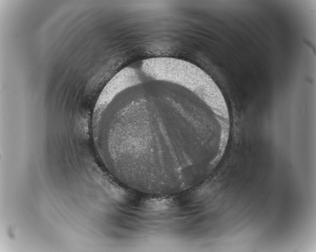 X0000103900065200810171624