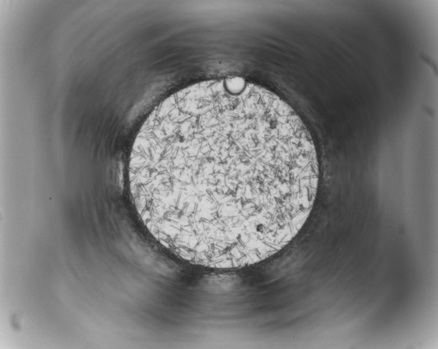 X0000103900067200810171624