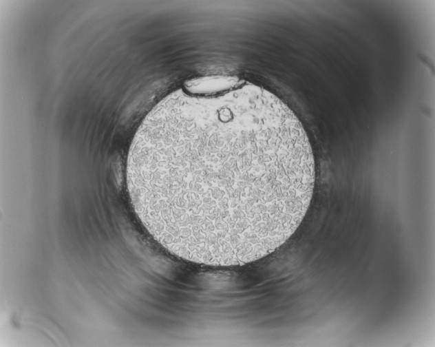 X0000103900069200810171624