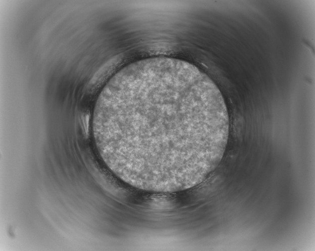 X0000103900070200810171624