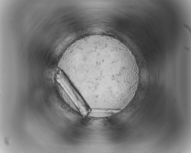 X0000103900072200810171624