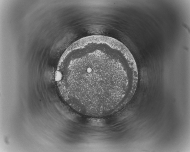 X0000103900073200810171624