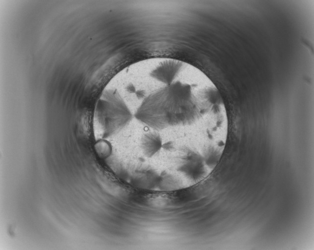 X0000103900074200810171624