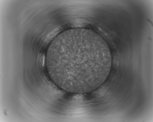 X0000103900076200810171624