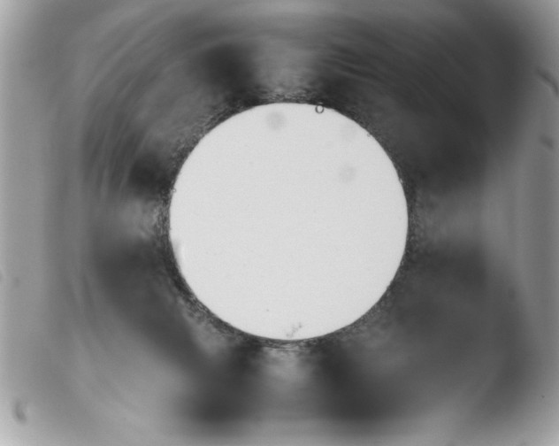 X0000103900079200810171624