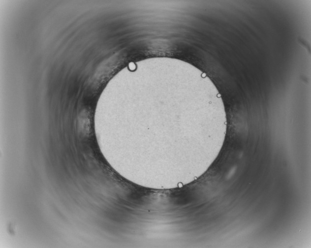 X0000103900080200810171624