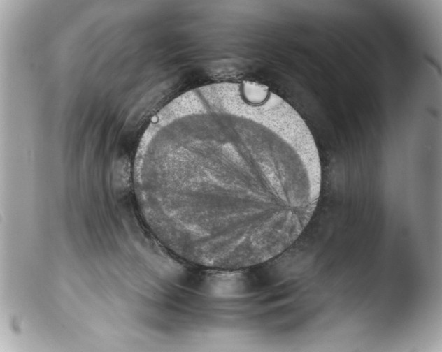 X0000103900081200810171624