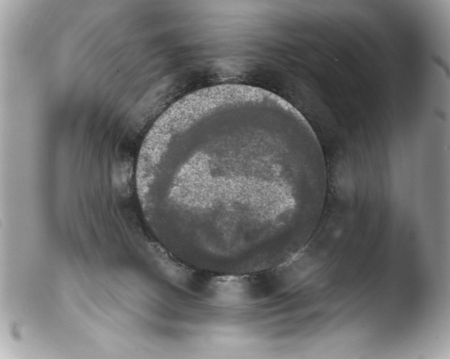 X0000103900082200810171624