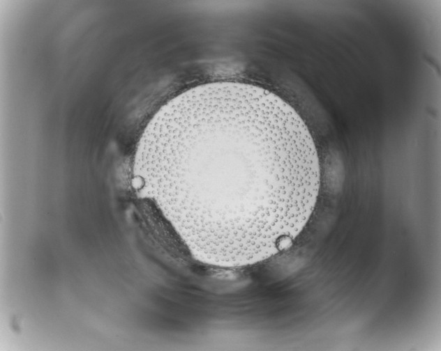 X0000103900083200810171624