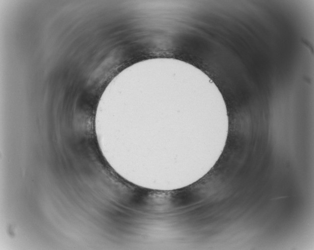 X0000103900084200810171624