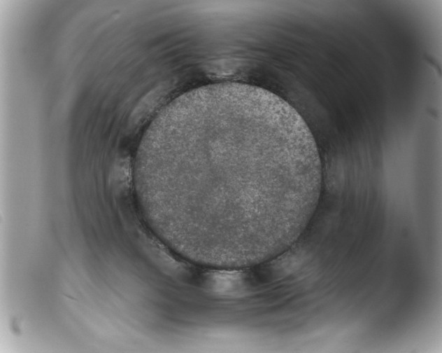 X0000103900085200810171624