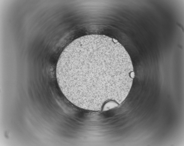 X0000103900086200810171624