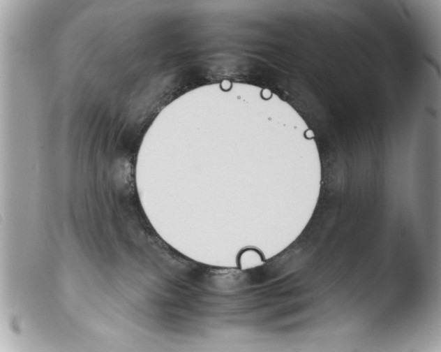 X0000103900087200810171624