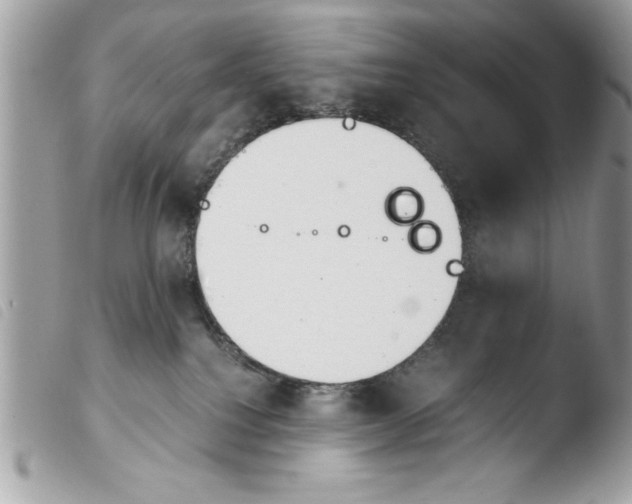 X0000103900088200810171624