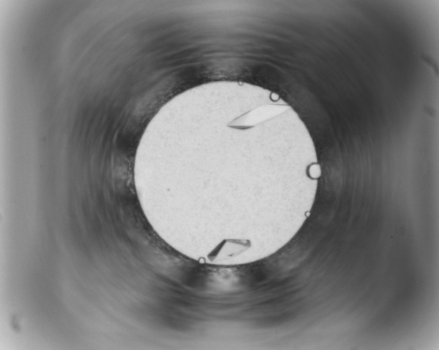 X0000103900091200810171624