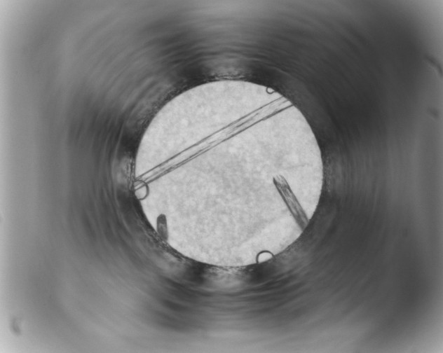 X0000103900093200810171624