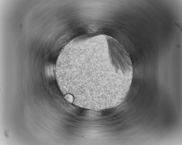 X0000103900094200810171624