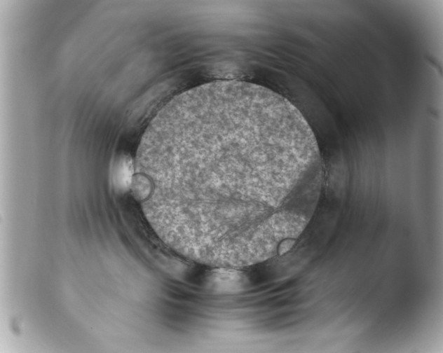 X0000103900095200810171624