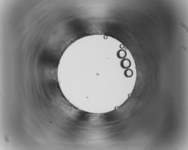 X0000103900096200810171624