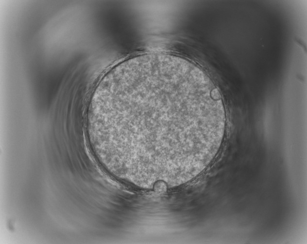 X0000103900097200810171624