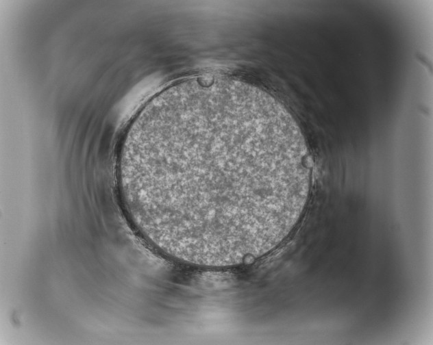 X0000103900101200810171623