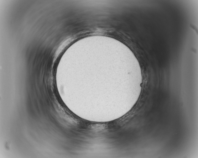 X0000103900102200810171623