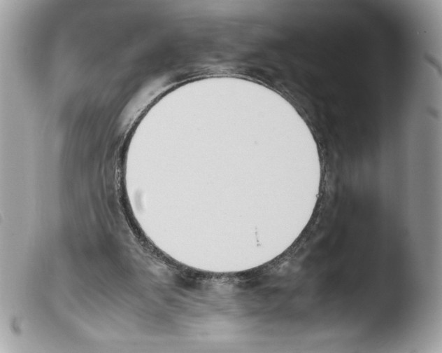 X0000103900103200810171623