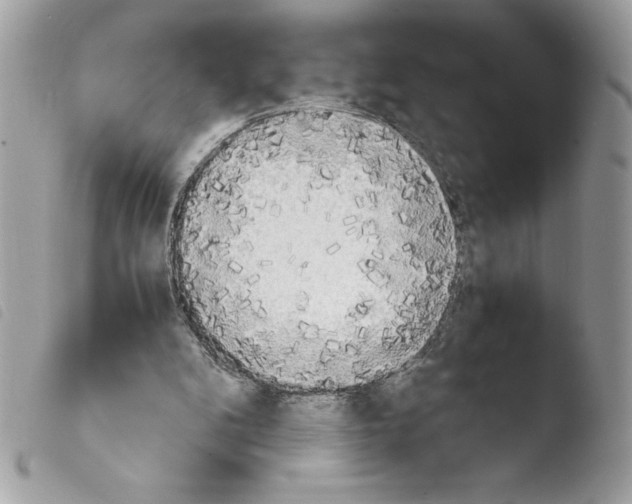 X0000103900104200810171623