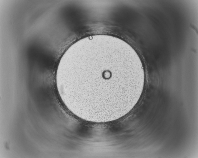 X0000103900105200810171623