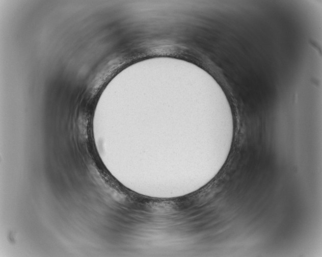 X0000103900106200810171623