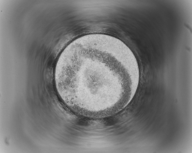 X0000103900107200810171623