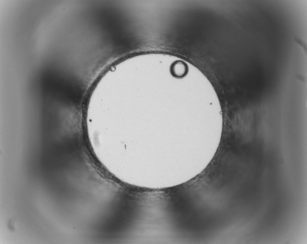 X0000103900108200810171623